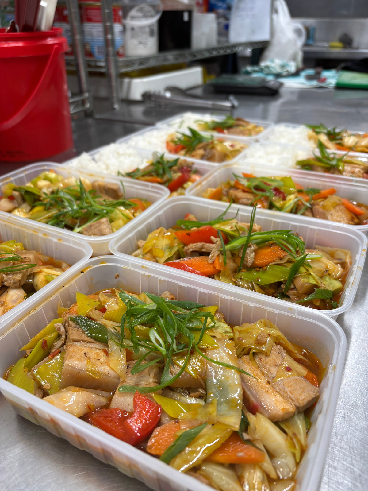 Can I freeze PleNOSH meals? How to store and reheat your delivery